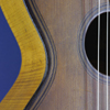 Stephan Thumhart, Gitarre, Fichte, Riegelahorn, Zarge, Schalloch, M&uuml;nchen, 1836