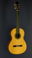 Jochen R&ouml;thel Meistergitarre Zeder, Palisander, 2009