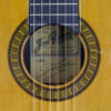 Jos&eacute; Ramirez 1a Zeder, Palisander, 1971, Schild, Rosette